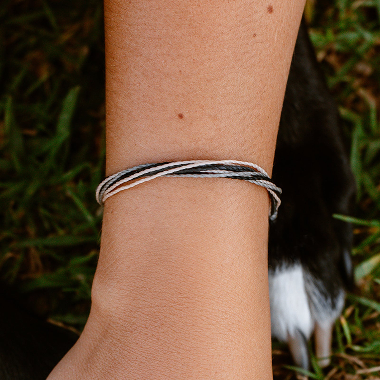 Pet Rescue Bracelet